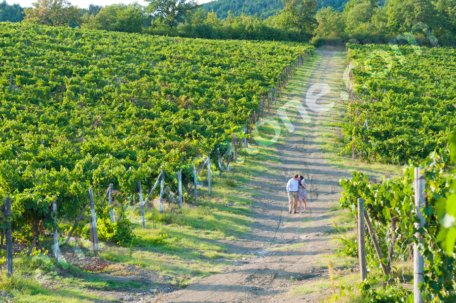 Photo Tour Tuscany Kissing among the vineyard