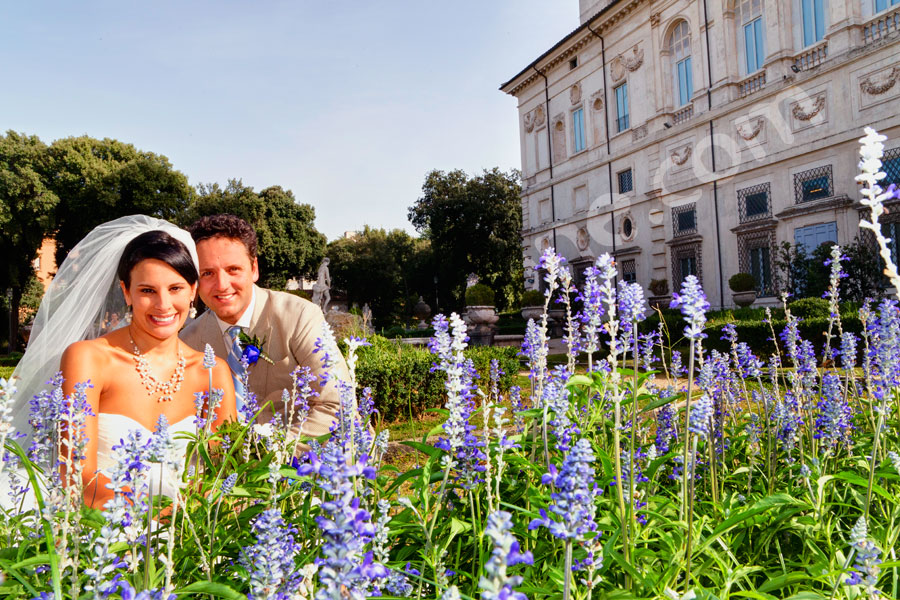 wedding-rome-022 Photographed together among lavanda behind Museum Villa Borghese