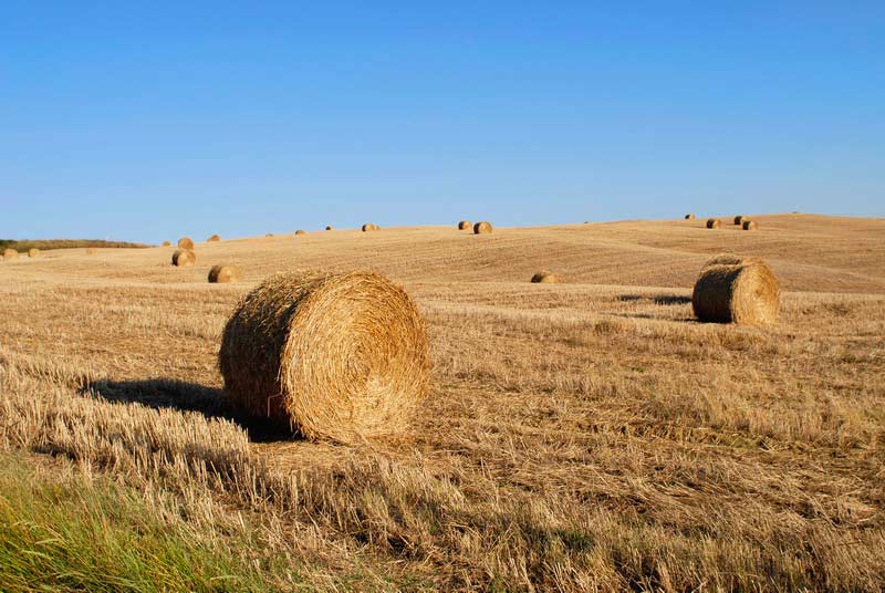 Hay bales in a tuscan field photographed during a Tuscany PhotoShoot