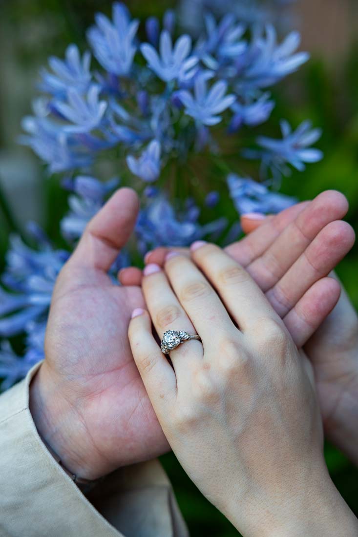 Close up of the engagement ring photographed on hands over each other with nice blue flower used as backdrop