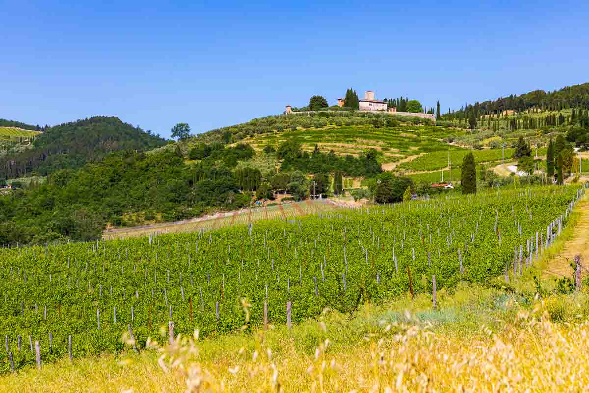 Tuscan country with beautiful rolling hills and distant medieval towns with vineyards everywhere. Proposing in a vineyard in Italy
