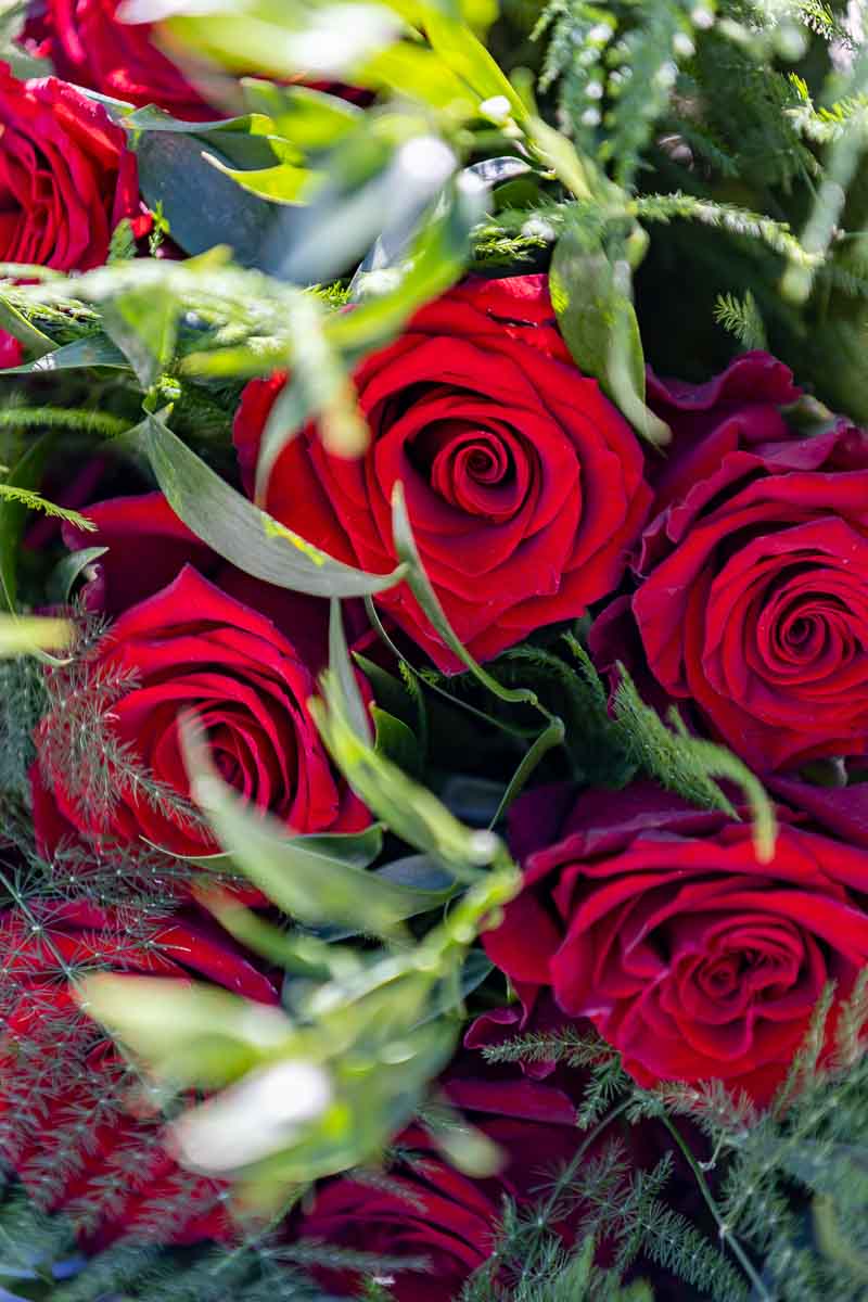 Red rose closeup in the form of a flower bouquet