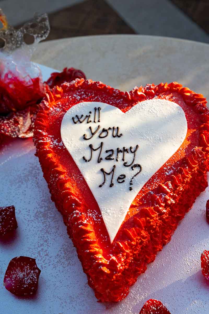 Will you Marry Me? Cake
