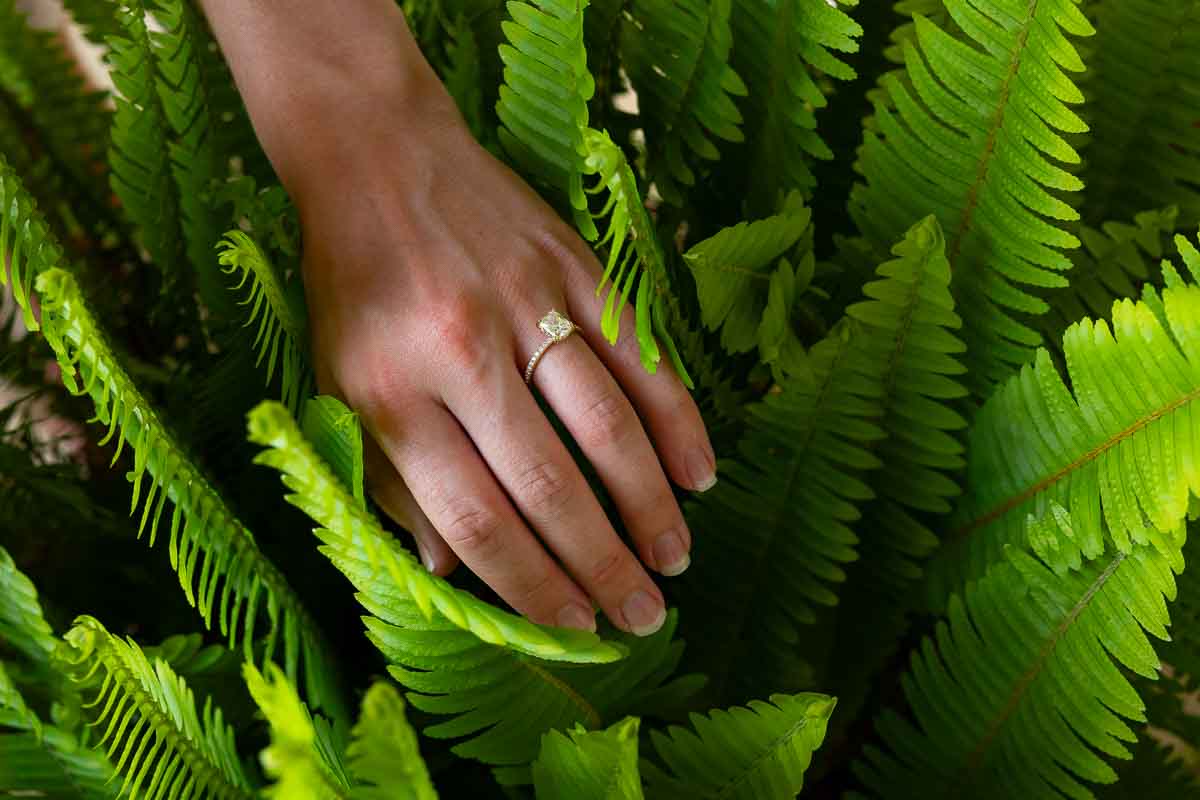 Picture of the engagement ring photographed in green plant