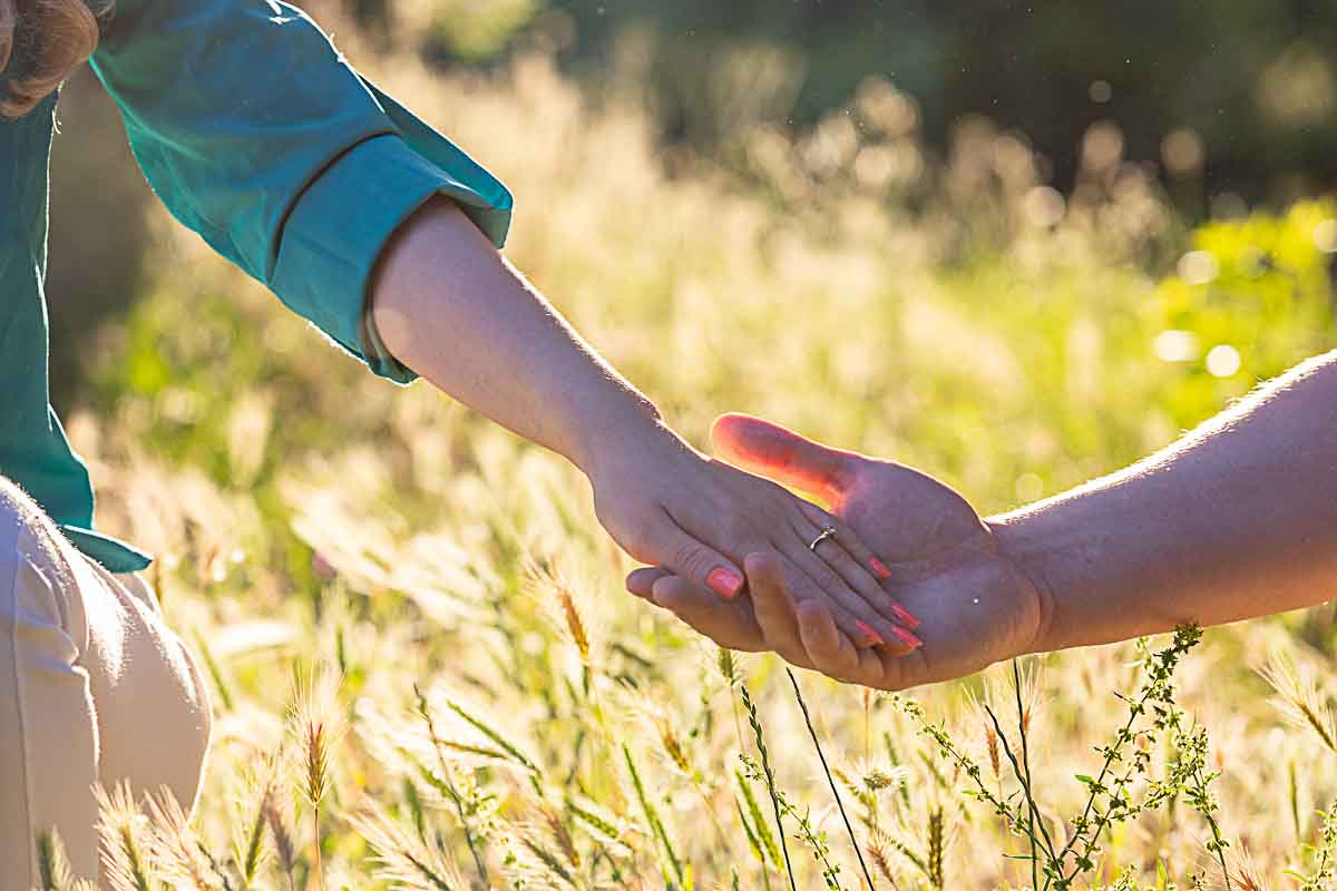 Engagement ring hand picture over grass at the golden hour