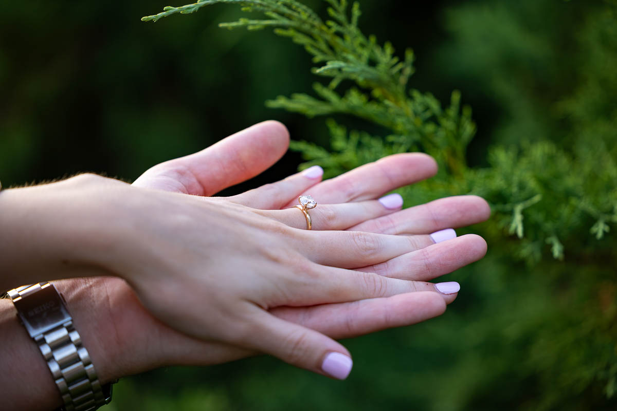 Holding hand with the diamond ring framed over a green brush as background 